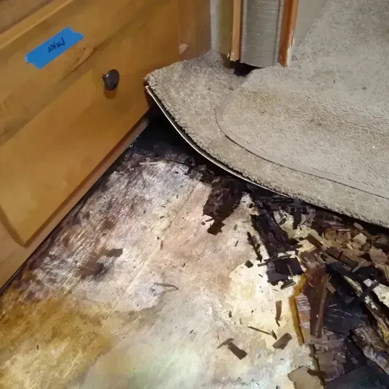 Wood Floor Water Damage in Elfers, FL